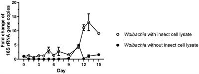 In vitro extracellular replication of Wolbachia endobacteria